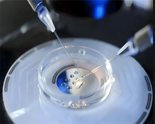 南昌辅助生殖：2026供卵试管费用、流程与医院选择