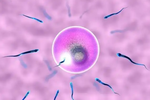 2026年南昌试管供卵助孕生宝宝费用解析