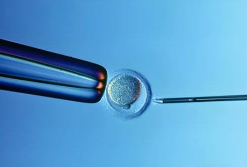 2026年供卵三代试管助孕费用明细：专业解析与服务构成