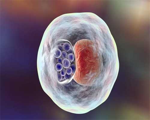 2026年捐卵试管代生男孩：法律风险与科学成功率全解析